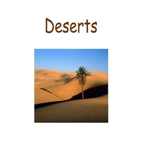 The desert