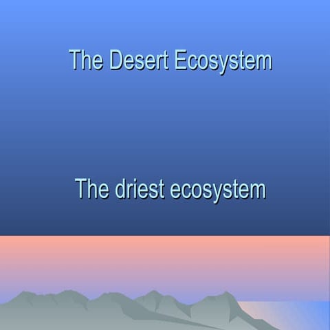 The desert ecosystem