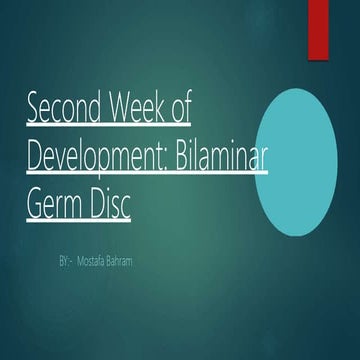 The developmental changes the second week.pptx