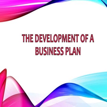 THE DEVELOPMENT OF A BUSINESS PLAN 