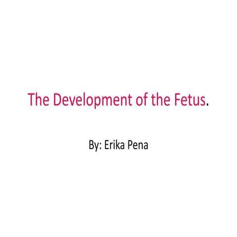 The development of the fetus