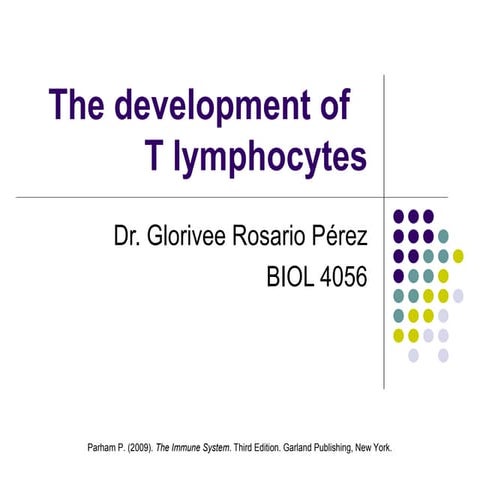 The development of   t lymphocytes