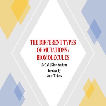The different types of mutations
