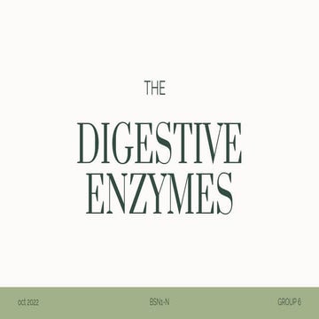 THE DIGESTIVE ENZYME - BSN1N - GROUP 6.pptx