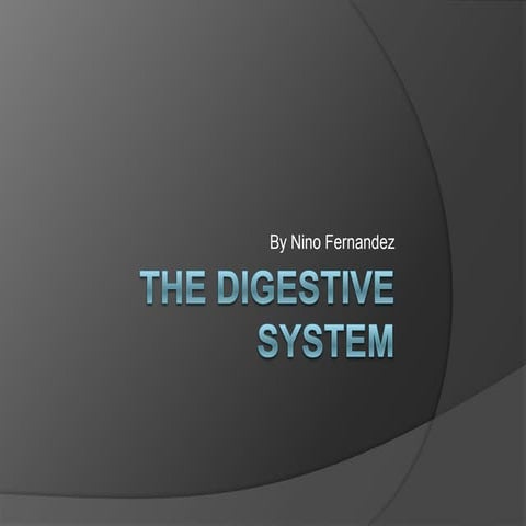 The digestive system