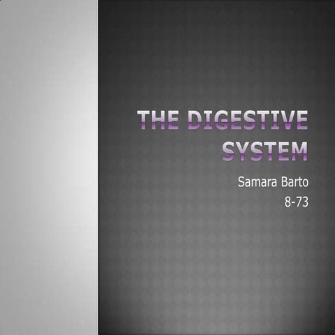 The digestive system | PPT