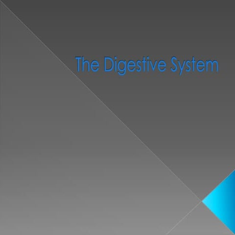 The digestive system