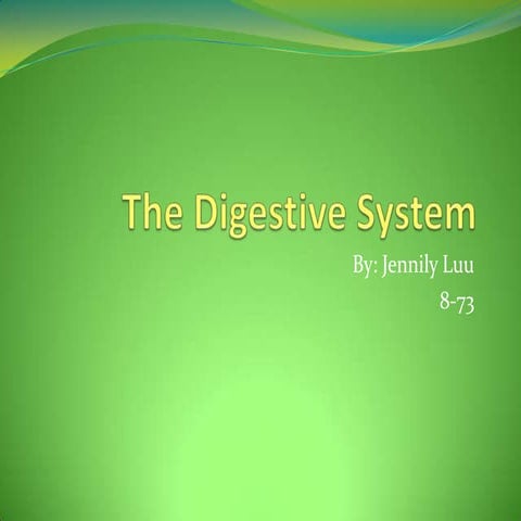 The Digestive System | PPTX
