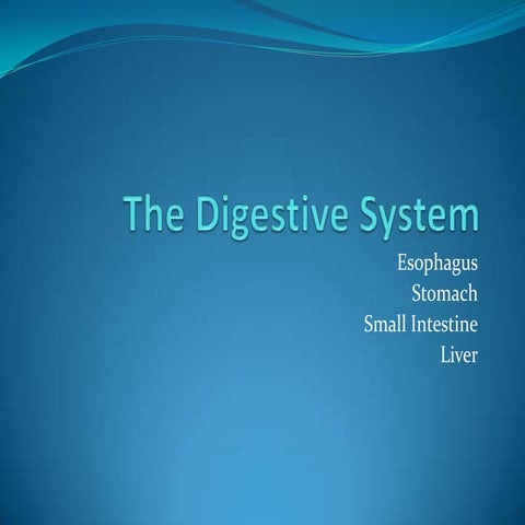 class 7 digestive system ppt.pptx digestion | PPTX