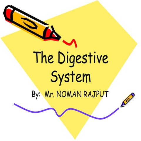 Thedigestivesystem 1216662844455887-9