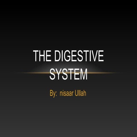 The human digestive system