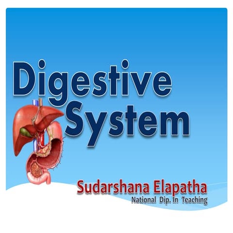 Digestive System | PPS