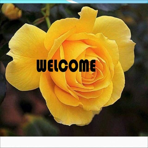 The digestive system