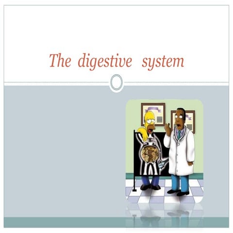 Digestive system power point | PPTX