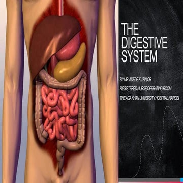 THE DIGESTIVE SYSTEM.pptx Understanding the basics of the digestive system