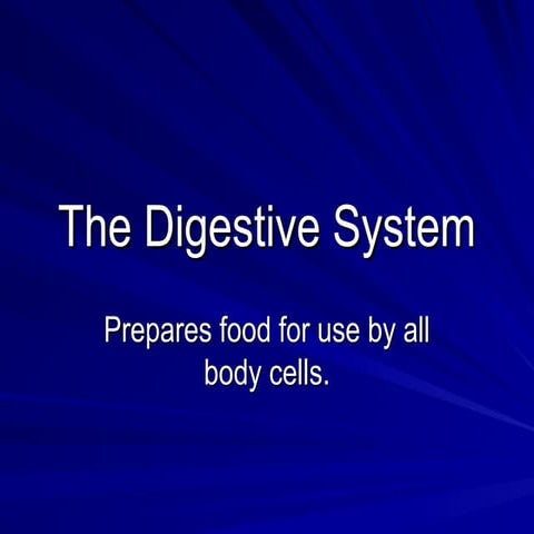 The Digestive system in english to elementary school.ppt