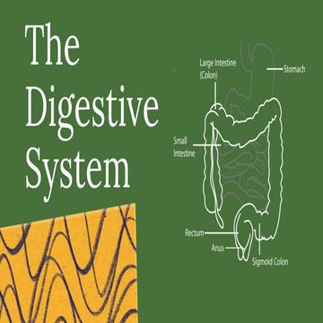The Digestive System - I-yana Dinzey.pptx