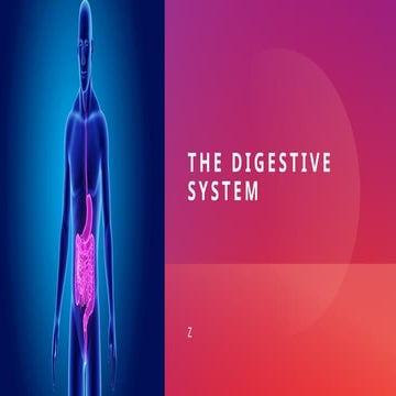 THE DIGESTIVE SYSTEM - ANATOMY PHYSIOLOGY