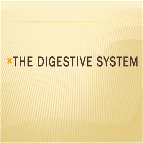 Digestive system - CLASS V | PPTX