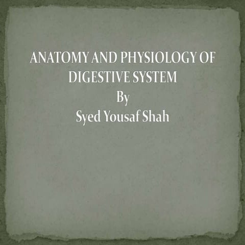 Unit X: The Digestive System  AP BSN1SN 01