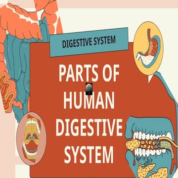 The Digestive System Science Educational Presentation in Dark Orange ...
