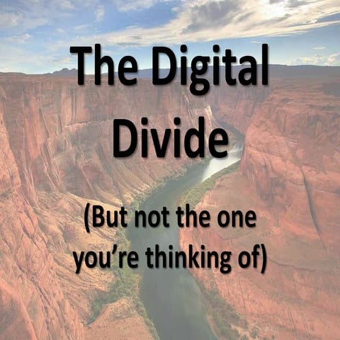 The digital divide2