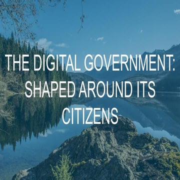The digital government: shaped around its citizens