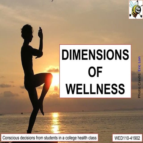 The Dimensions Of Wellness   2