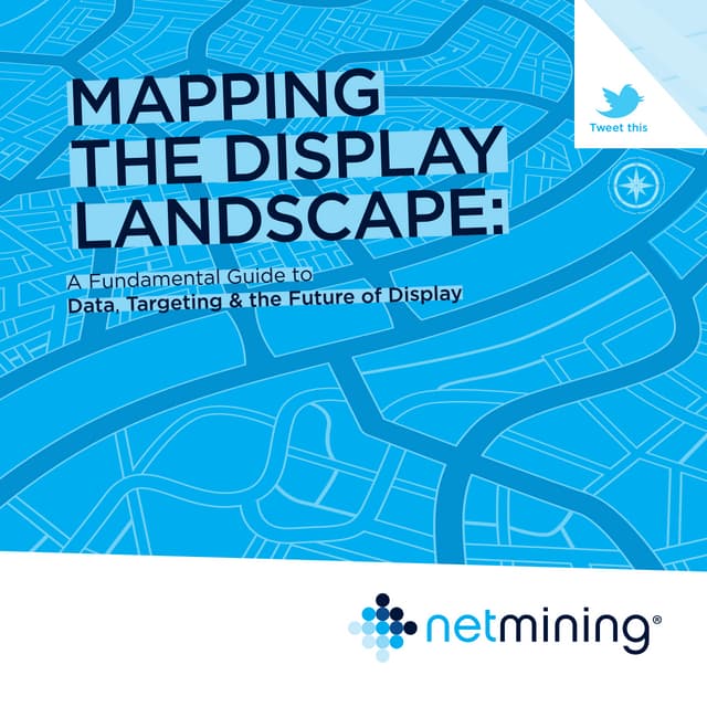 The display landscape