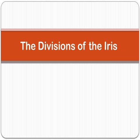 the division of iris .pptxdividion of iris