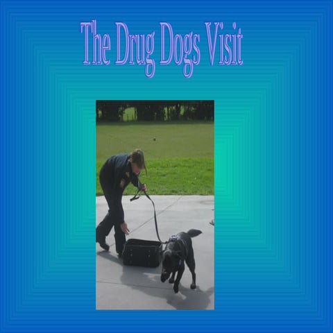 The  Drug  Dogs  Visit