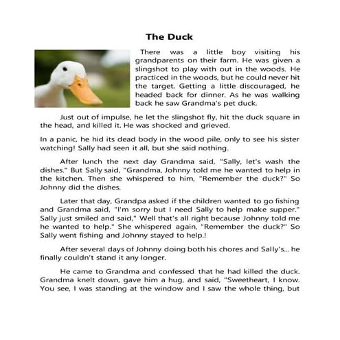 The duck