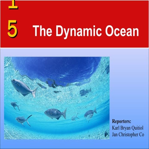 The dynamic ocean by Jan Co