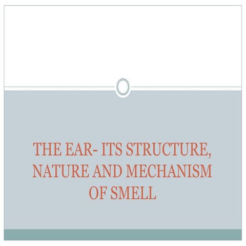 The Ear (Its Structure, Nature and Mechanism) And Mechanism of Smell