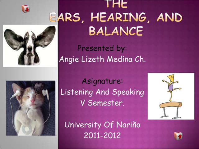 The ears, hearing, and balance presentation presentation Biology Diagrams