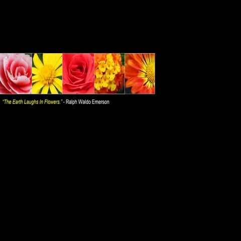 The Earth Laughs in Flowers