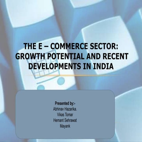 The e – commerce sector
