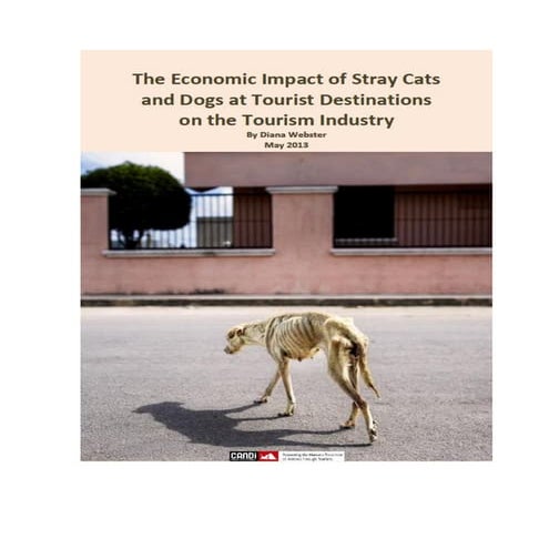 The economic impact of stray cats and dogs at tourist destinations on the tou...