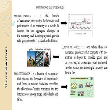 The economics terms (1)