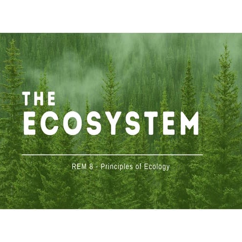 Green Modern Ecology Ecosystem Presentation (1).pptx