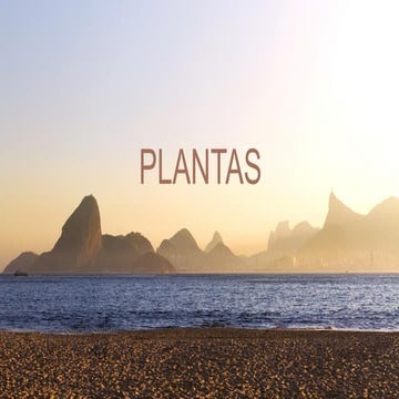 The Edge Icaraí PLANTAS (21) 98094-5517