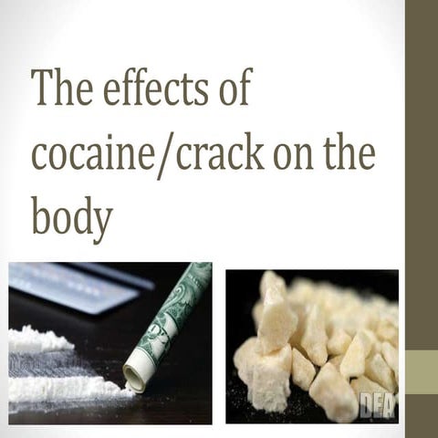 The effects of cocaine
