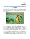 The effects of drought on landscape trees and how to handle it 1 theeffectsofdroughtonlandscapetreesandhowtohandleit 211004131128 thumbnail 2