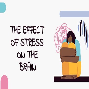 The effects of stress on the brain; just to know | PDF