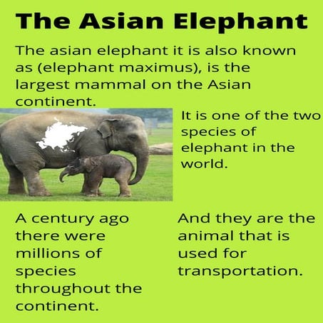 The elephant.pdf