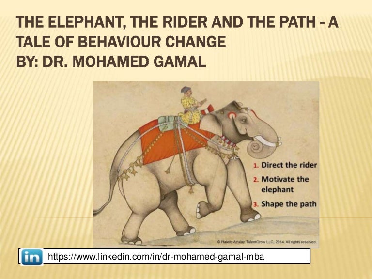 The elephant the rider and the path How to make change stick