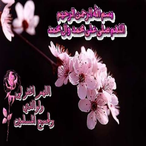 The_embryonic_(Organogenetic)_Period(3th_to_8th_weeks_).pptx