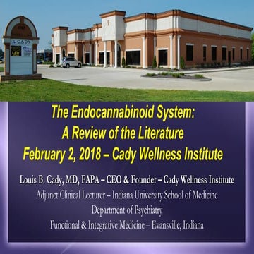 THE ENDOCANNABINOID SYSTEM - Cady Wellness Institute