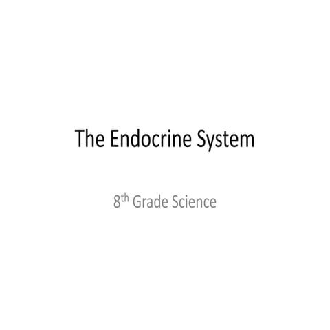 The endocrine system