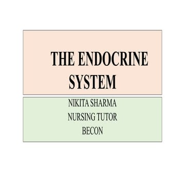 The endocrine system